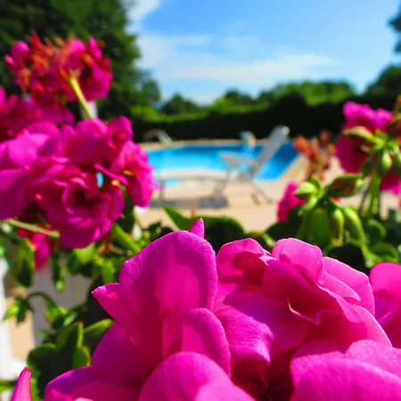 La Selva Incantata - Con Piscina E Giardino Privato 3* Montemiletto